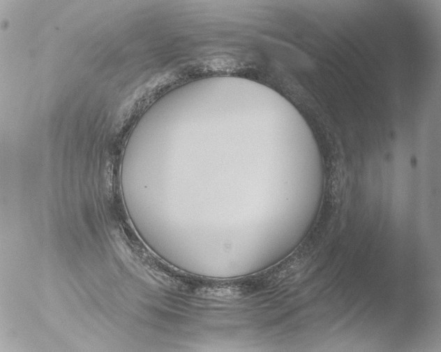 X0000051910639200507152032