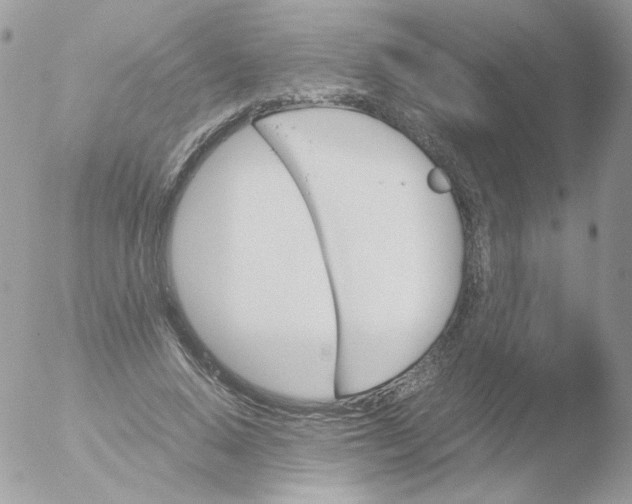 X0000051910640200507152032