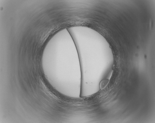 X0000051910642200507152032