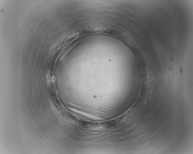 X0000051910643200507152032