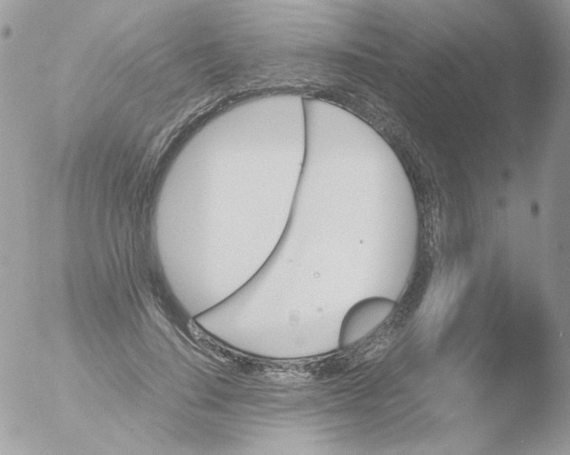 X0000051910644200507152032