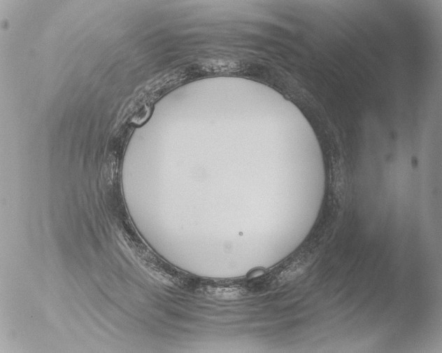 X0000051910645200507152032