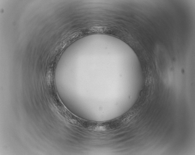 X0000051910647200507152032