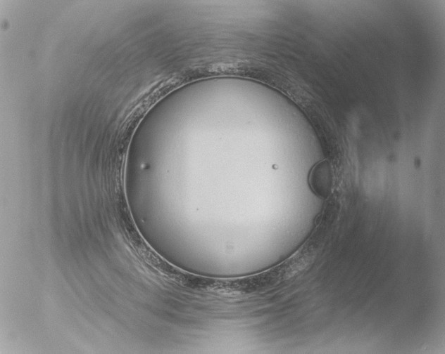 X0000051910648200507152032