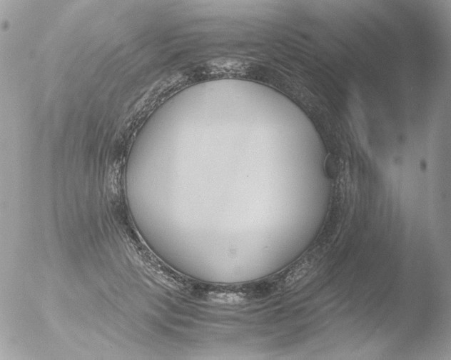 X0000051910649200507152032