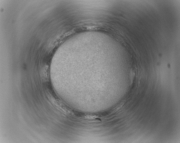 X0000051910650200507152032