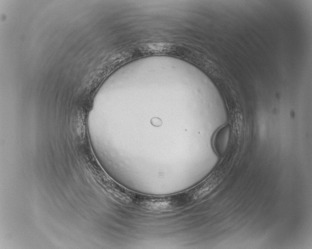 X0000051910651200507152032