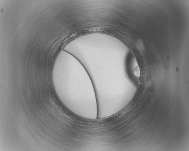 X0000051910652200507152032