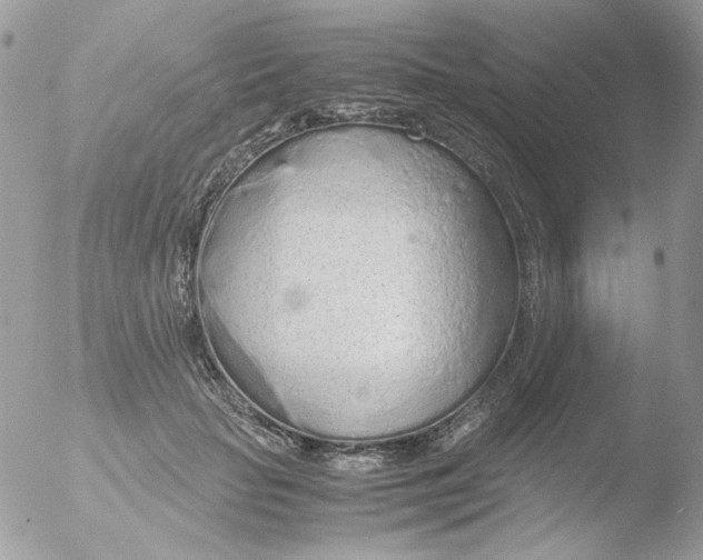 X0000051910653200507152032