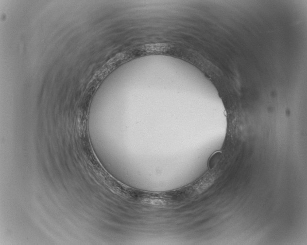 X0000051910655200507152032