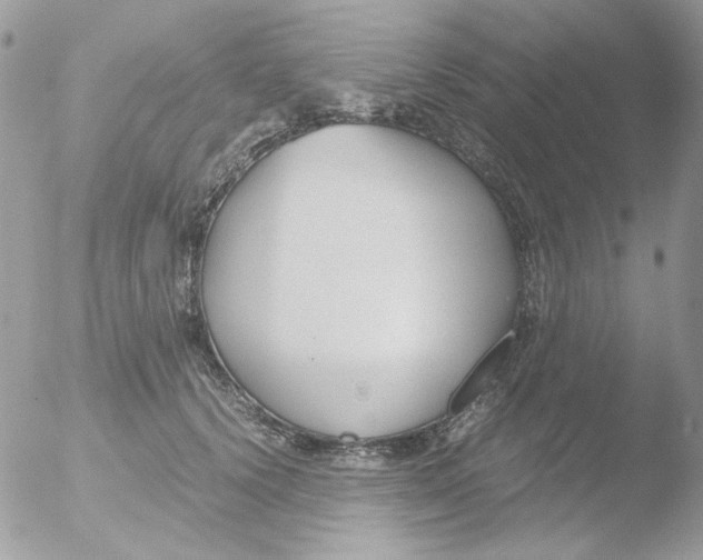 X0000051910656200507152032