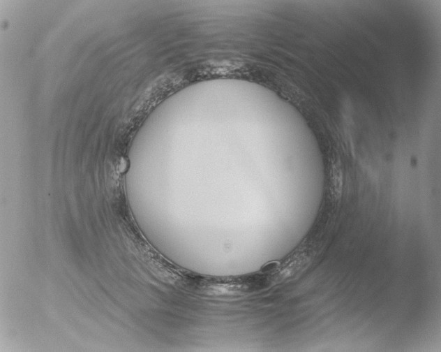 X0000051910657200507152032