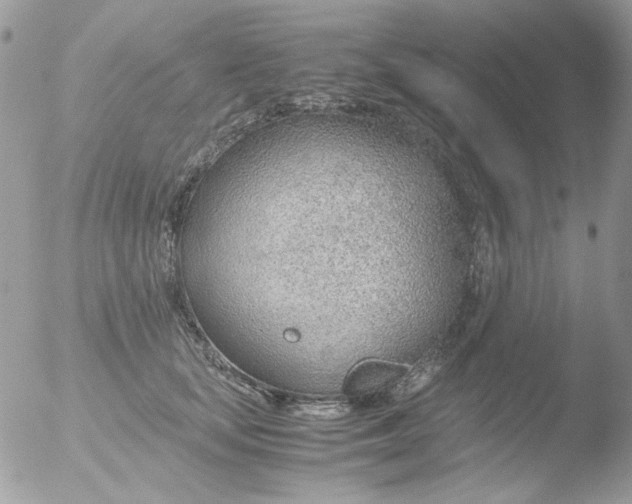 X0000051910659200507152032