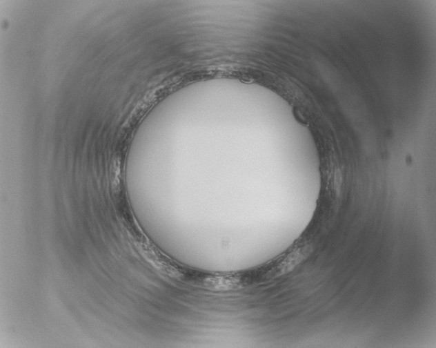 X0000051910660200507152032