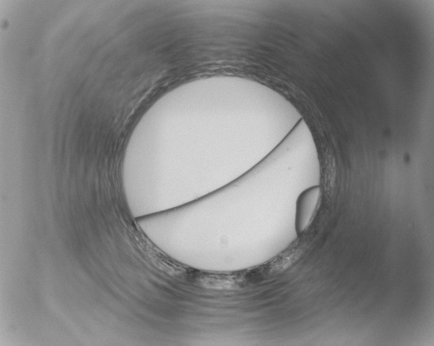 X0000051910661200507152032