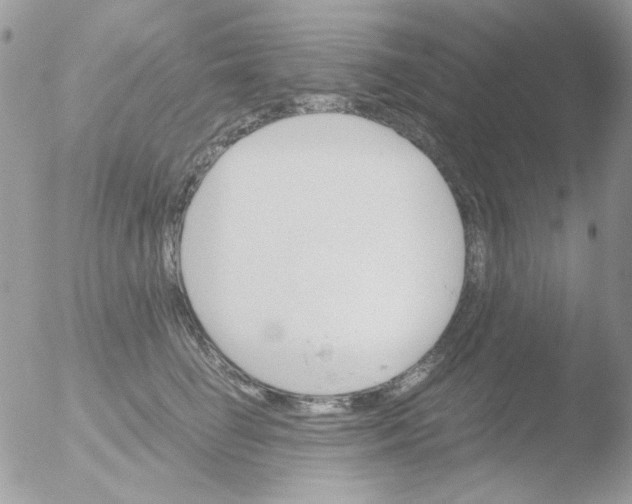 X0000051910662200507152032