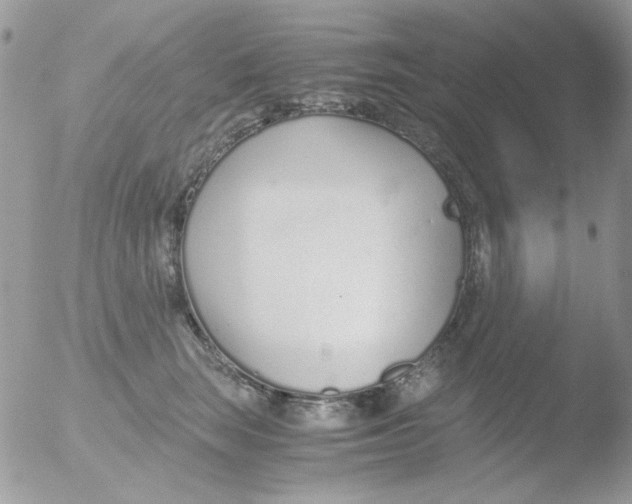 X0000051910663200507152032