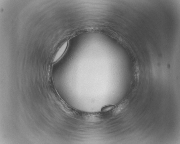 X0000051910664200507152032