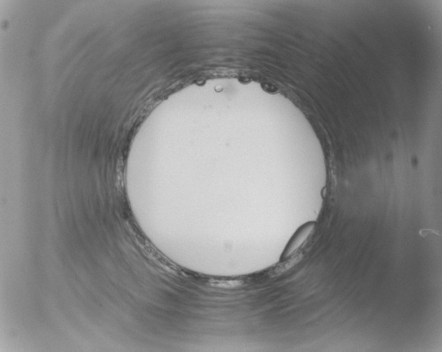 X0000051910665200507152032