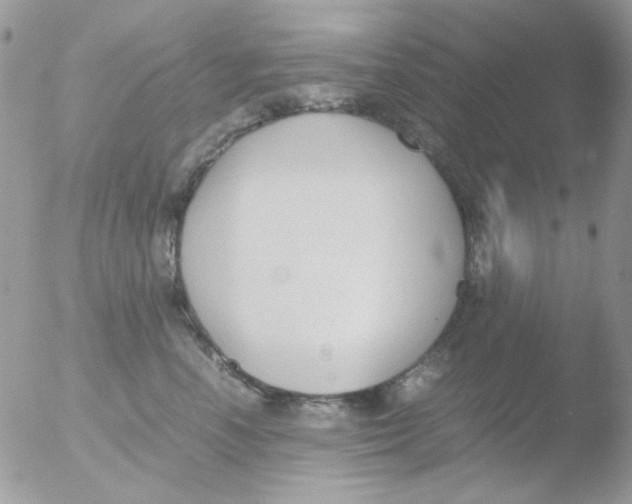 X0000051910666200507152032