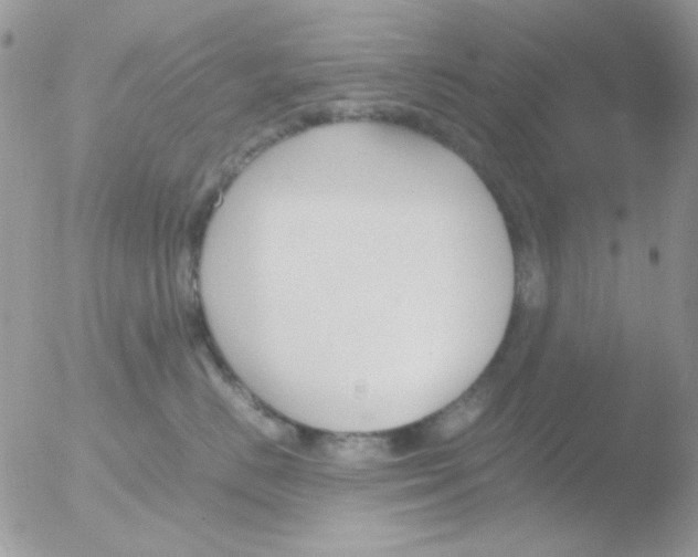 X0000051910670200507152032