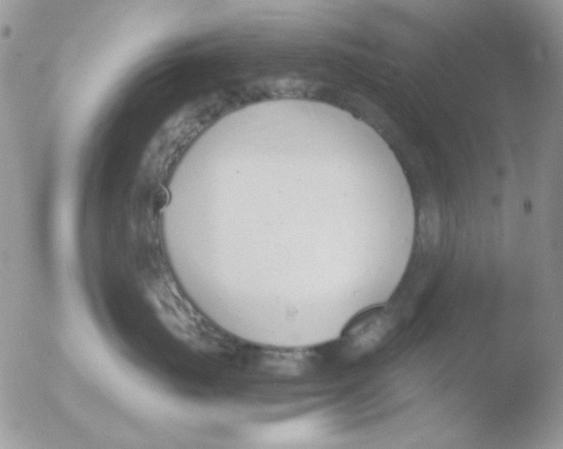 X0000051910671200507152032