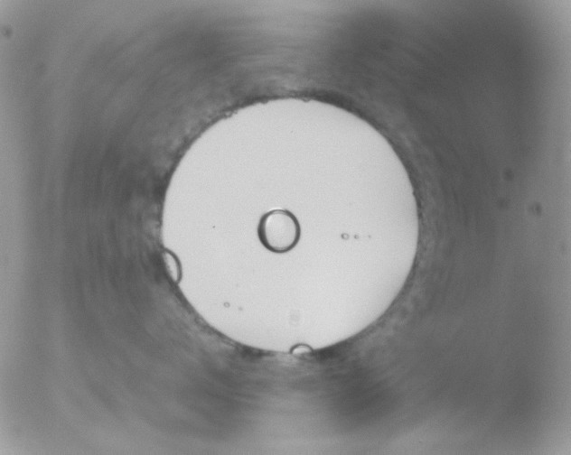 X0000051910672200507152032