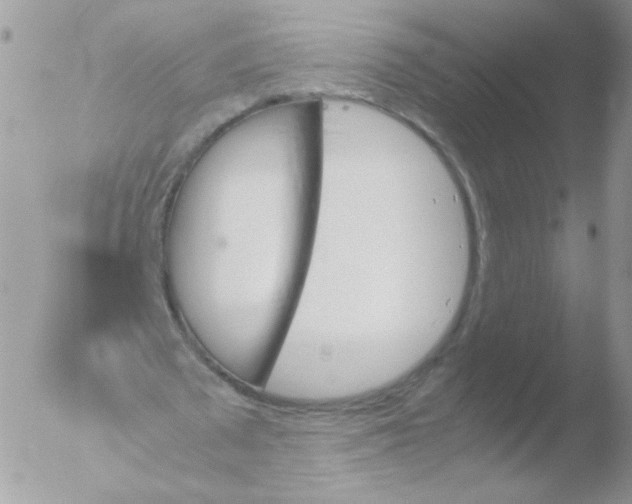 X0000051910673200507152031