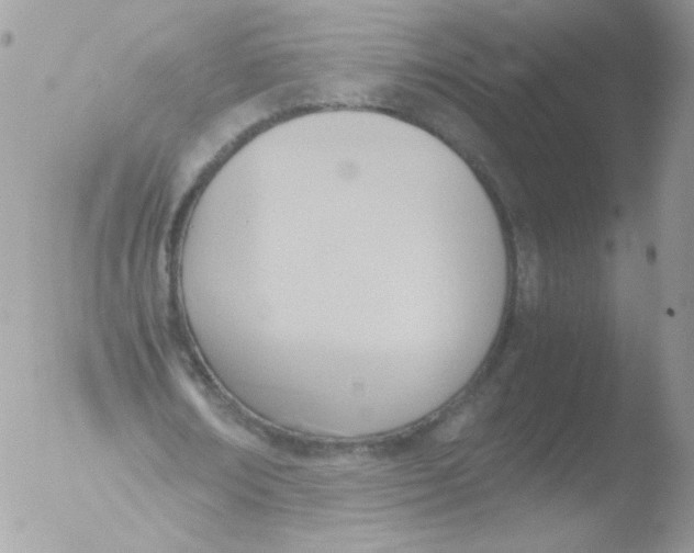 X0000051910674200507152031