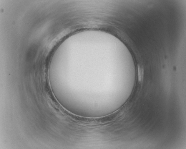 X0000051910675200507152031