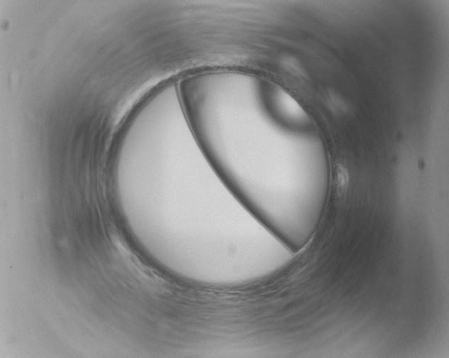 X0000051910676200507152031