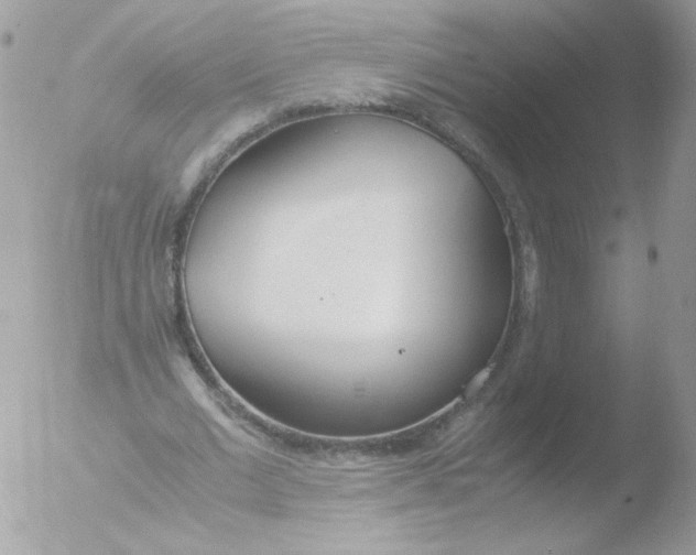 X0000051910677200507152031