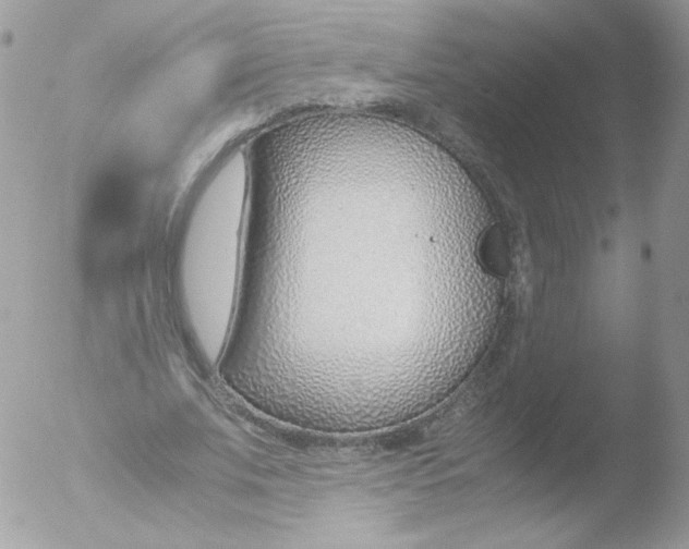 X0000051910679200507152031