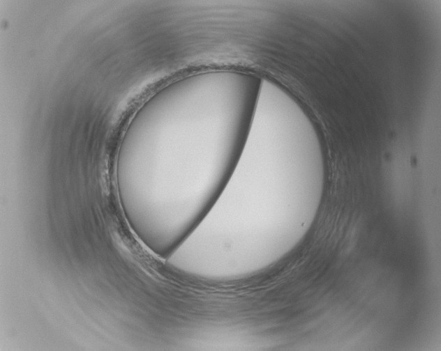 X0000051910680200507152031