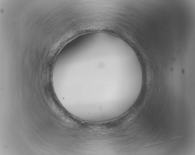 X0000051910681200507152031