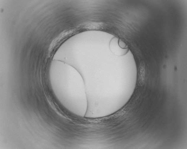 X0000051910682200507152031