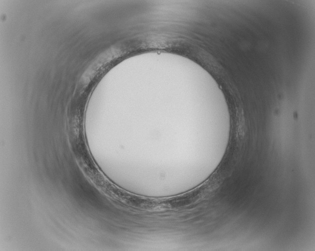 X0000051910683200507152031