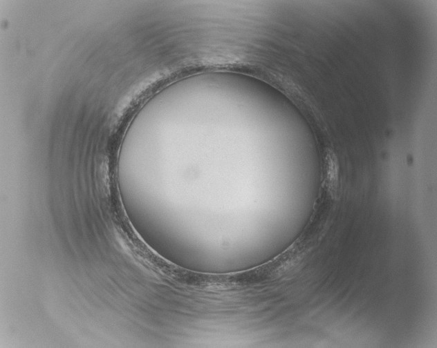 X0000051910684200507152031