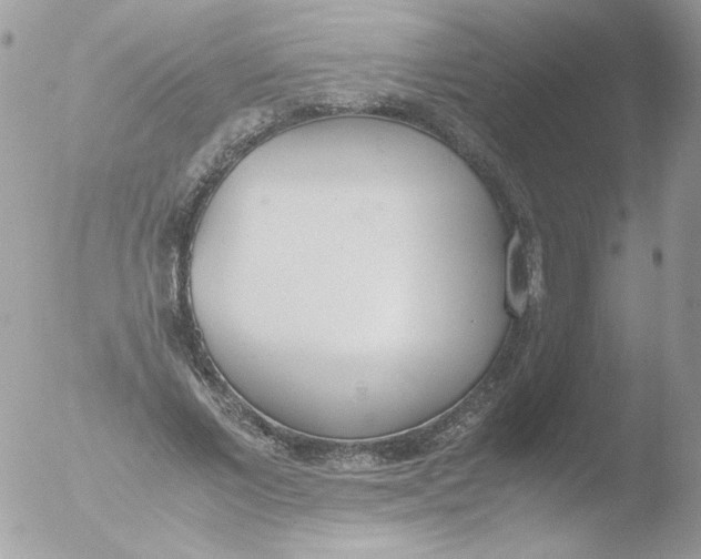 X0000051910685200507152031