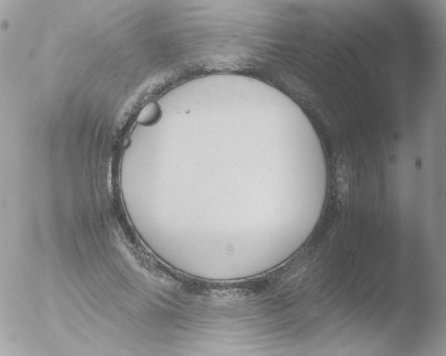 X0000051910686200507152031