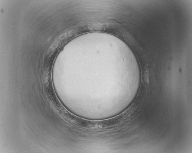 X0000051910687200507152031