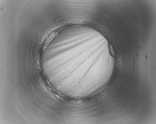 X0000051910688200507152031