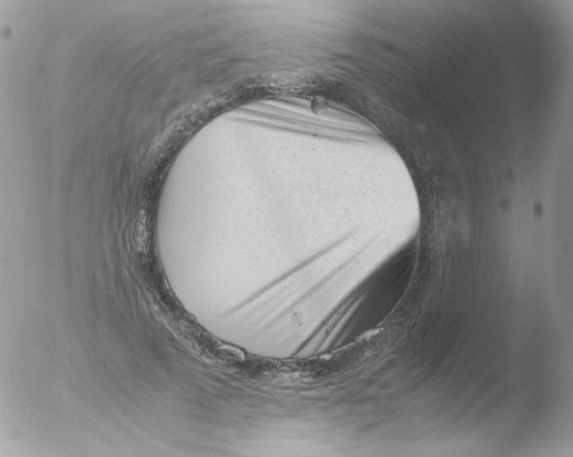 X0000051910689200507152031