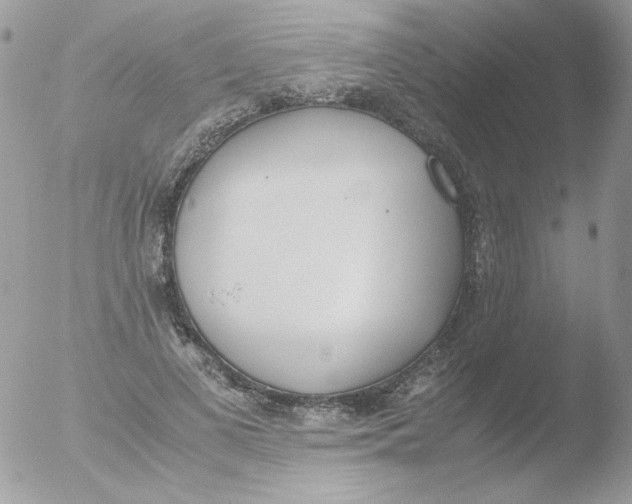 X0000051910693200507152031