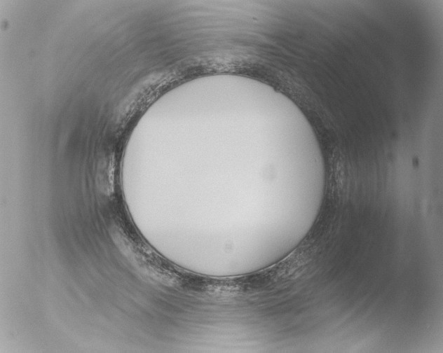 X0000051910694200507152031