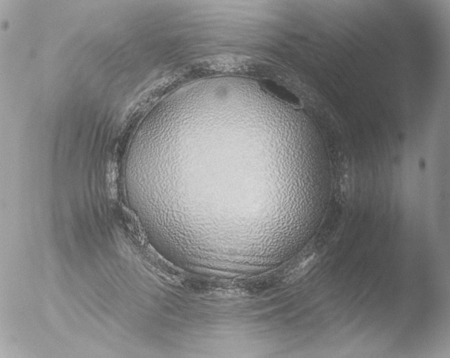 X0000051910696200507152031