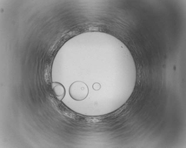 X0000051910698200507152031