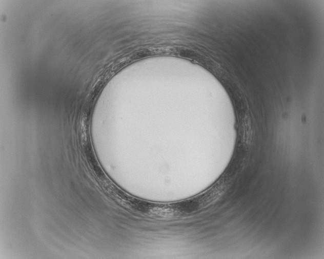 X0000051910699200507152031