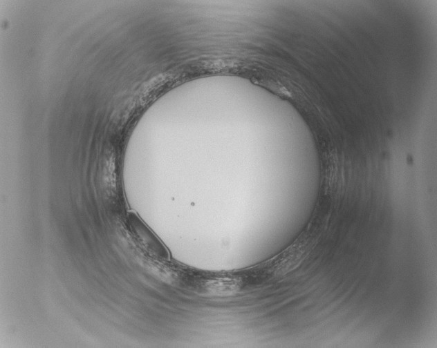 X0000051910700200507152031