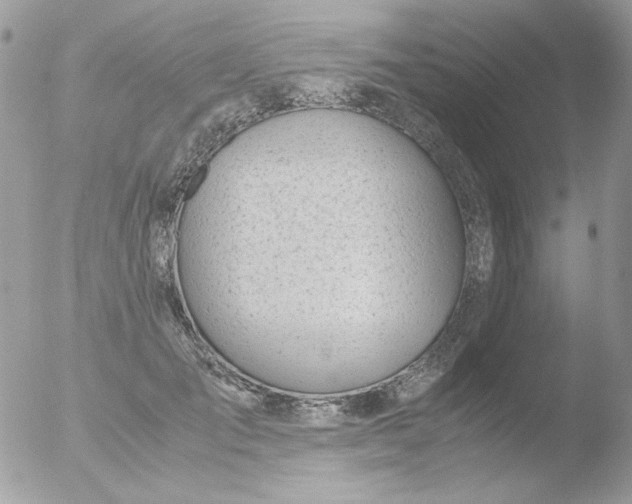 X0000051910701200507152031